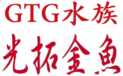 GTG水族-光拓金魚